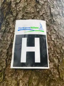 Wald"Peter Aufm Berge" - 8