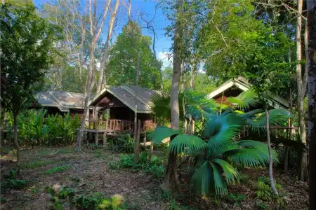 Khao Sok Riverside Cottage - 130