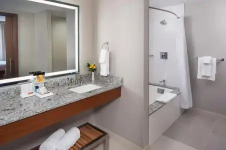 DoubleTree by Hilton Rochester Mayo Clinic Area - 94