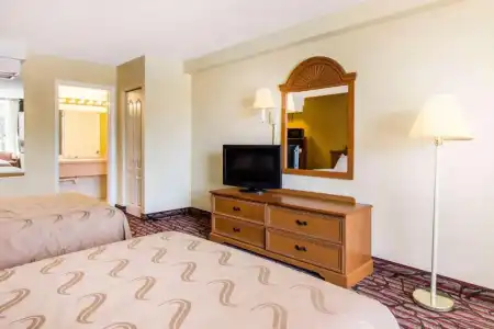 Rodeway Inn Clearwater - Central - 63