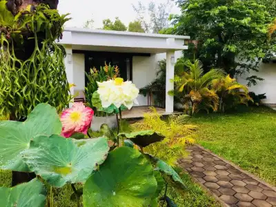 Sahaa Beach Resort - 130