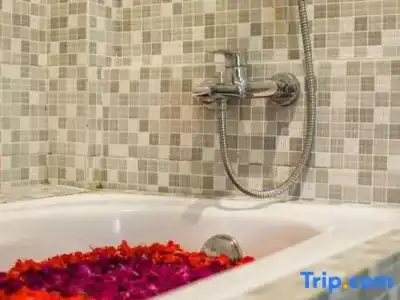 Amoya Inn - 101