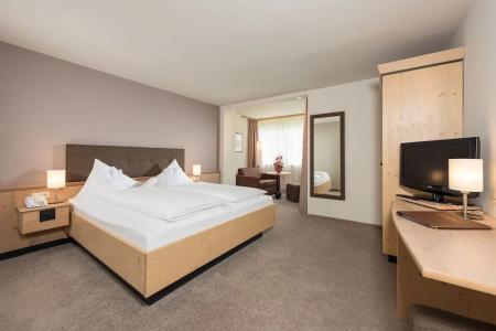 Aktiv Schweizerhof - Kitzbühel - 80