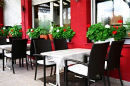 Restaurant Alexandros - 19