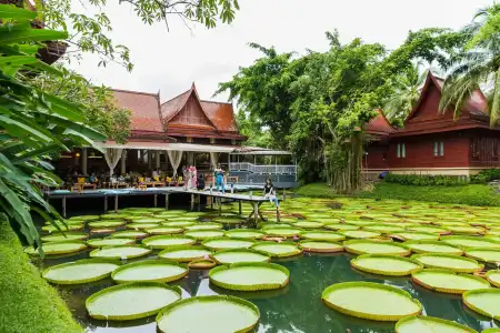 Ma Doo Bua Phuket (มาดูบัวภูเก็ต) - 10