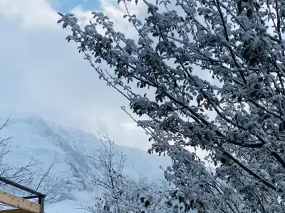 Kazbegi 1963 - 10