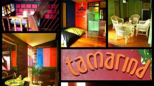 Tamarind Guesthouse - 21