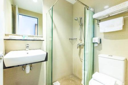 ibis Styles Singapore Albert - 58