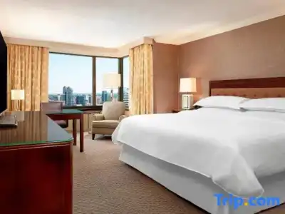 Sheraton Centre Toronto - 101