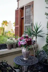 Bosnali - Special Class - 113