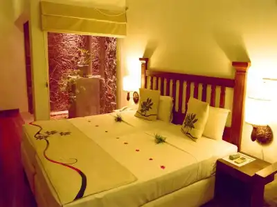 Siddhalepa Ayurveda Resort - All Meals, Ayurveda Treatment, Yoga Resort - 43