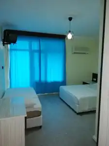 Delphin Apart - 50
