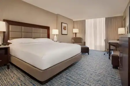 Hilton Tampa Downtown - 58