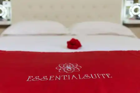 Essential Suite B&B Botanic - 11