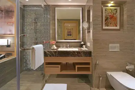 Radisson Mumbai Andheri MIDC - 16
