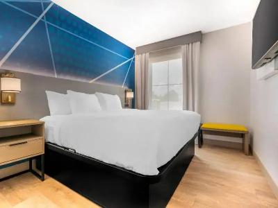 Comfort Inn & Suites Saint Louis Lafayette Square - 46