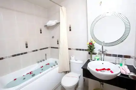 Hồng Hạc - 7