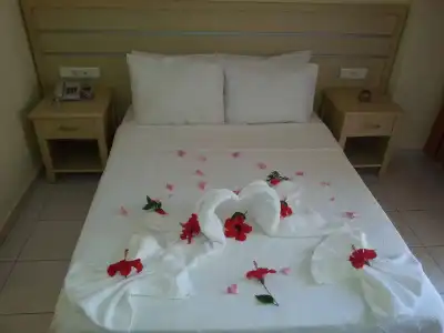 Summer Rose - 25