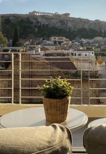 24K Athena Suites - 16