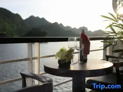 V'Spirit Cruises - 64
