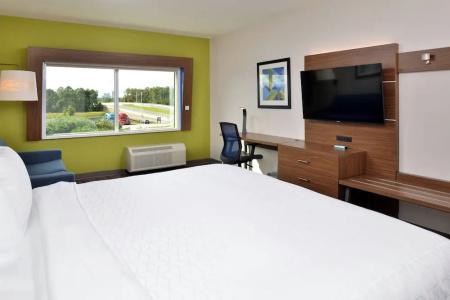 Holiday Inn Express Orlando – South Park by IHG - 98