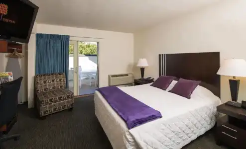 Orange Tree Inn - 36