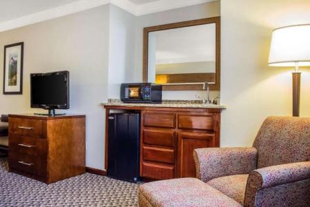 Comfort Inn & Suites Durango - 66