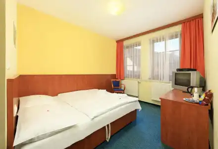 Záviš z Falkenštejna - 13