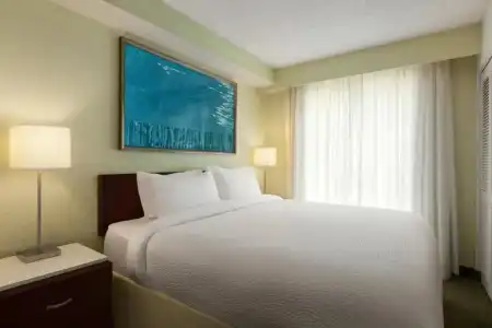 Springhill Suites By Marriott Boca Raton - 50