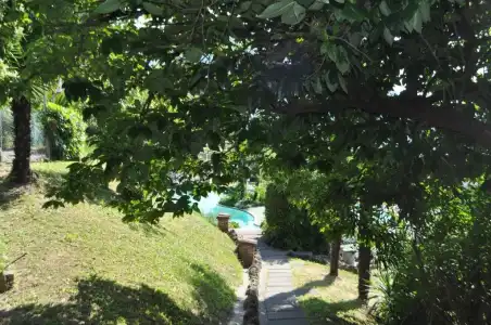 Colibrv - 1