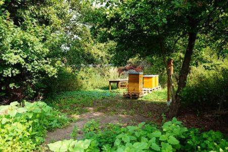 Am Tierpark - 34