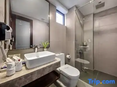Halina & Apartment - 61