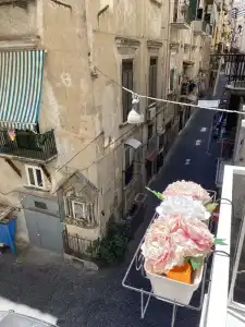Toledo Relax - 0