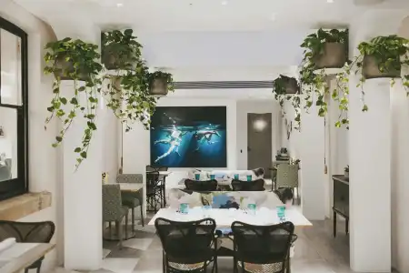 Spicers Potts Point - 17