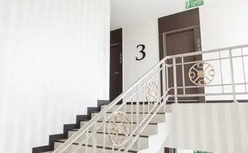 TRIMM (SHA Extra Plus) - 12