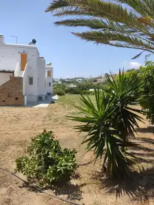 Aigaio Studios Tinos - 171