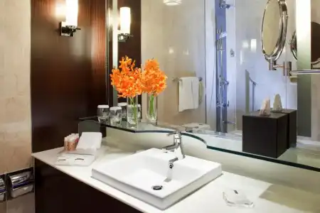 Holiday Inn Singapore Orchard City Centre by IHG - 30