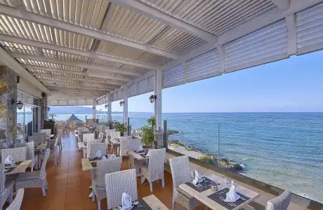 Alexander Beach & Village Resort - 27