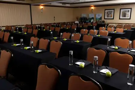 Embassy Suites Lubbock - 14
