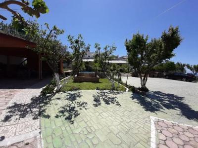 Yard Paradise - 24