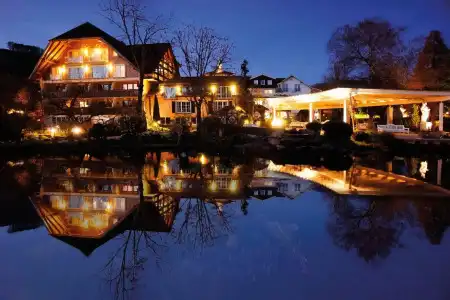 Rebstock Durbach - 0