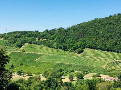 Das Schlossberg - Boutique im Park- Nahe der Therme - 68