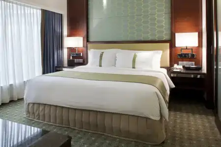 Holiday Inn Singapore Orchard City Centre by IHG - 47