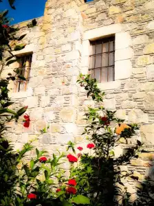 Eski Datca Pansiyon Cafe - 0