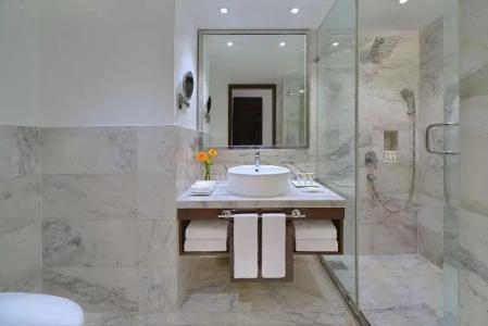 Radisson Agra - 43
