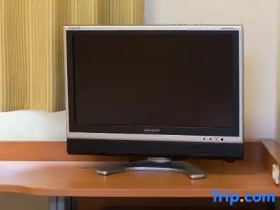 Comfort Inn Suwa Inter - 100