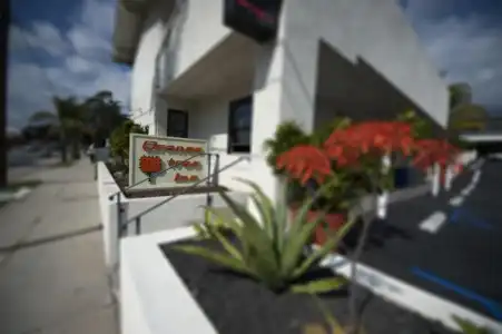 Orange Tree Inn - 15