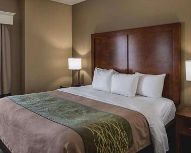 Comfort Inn Midland South I-20 - 34