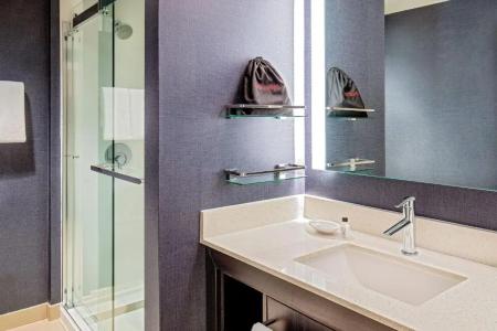 Hampton Inn Boston/Cambridge - 70