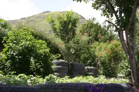 Guest House Sabauri - 14